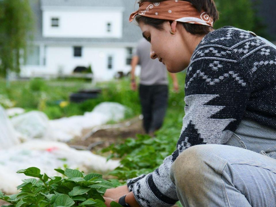 Student working outdoors