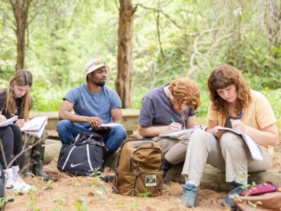 Group of students making observations in nature.