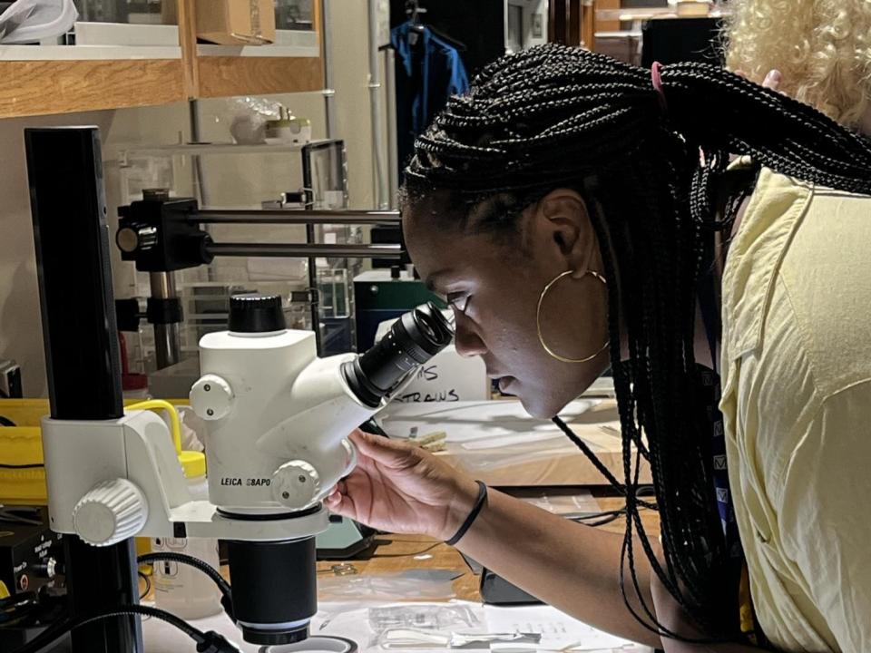 Student at microscope.