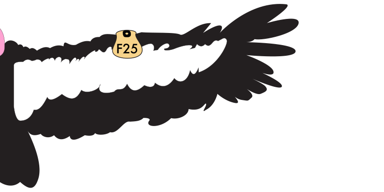 					View Vol. 43 No. 1 (2025): Northridge Review: Fall 2025
				